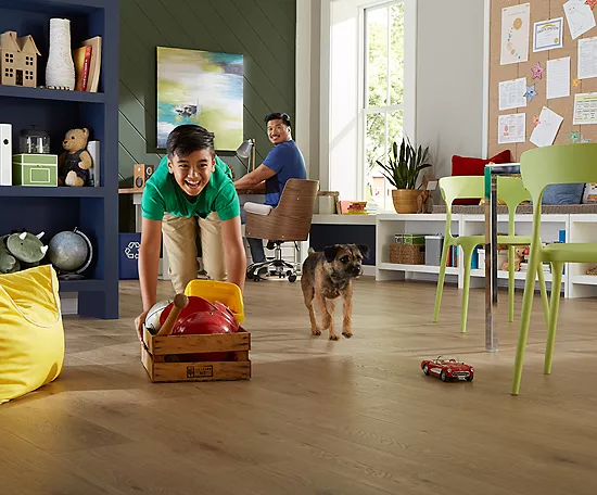 Safeguarding Floors from Pets | Derailed Commodity Flooring & Furniture