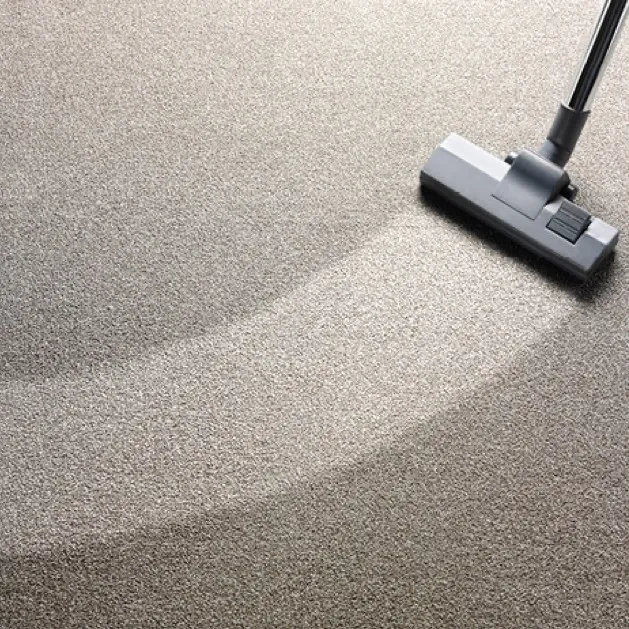 Area rug vacuum | Derailed Commodity Flooring & Furniture