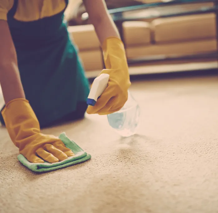 Carpet care | Derailed Commodity Flooring & Furniture